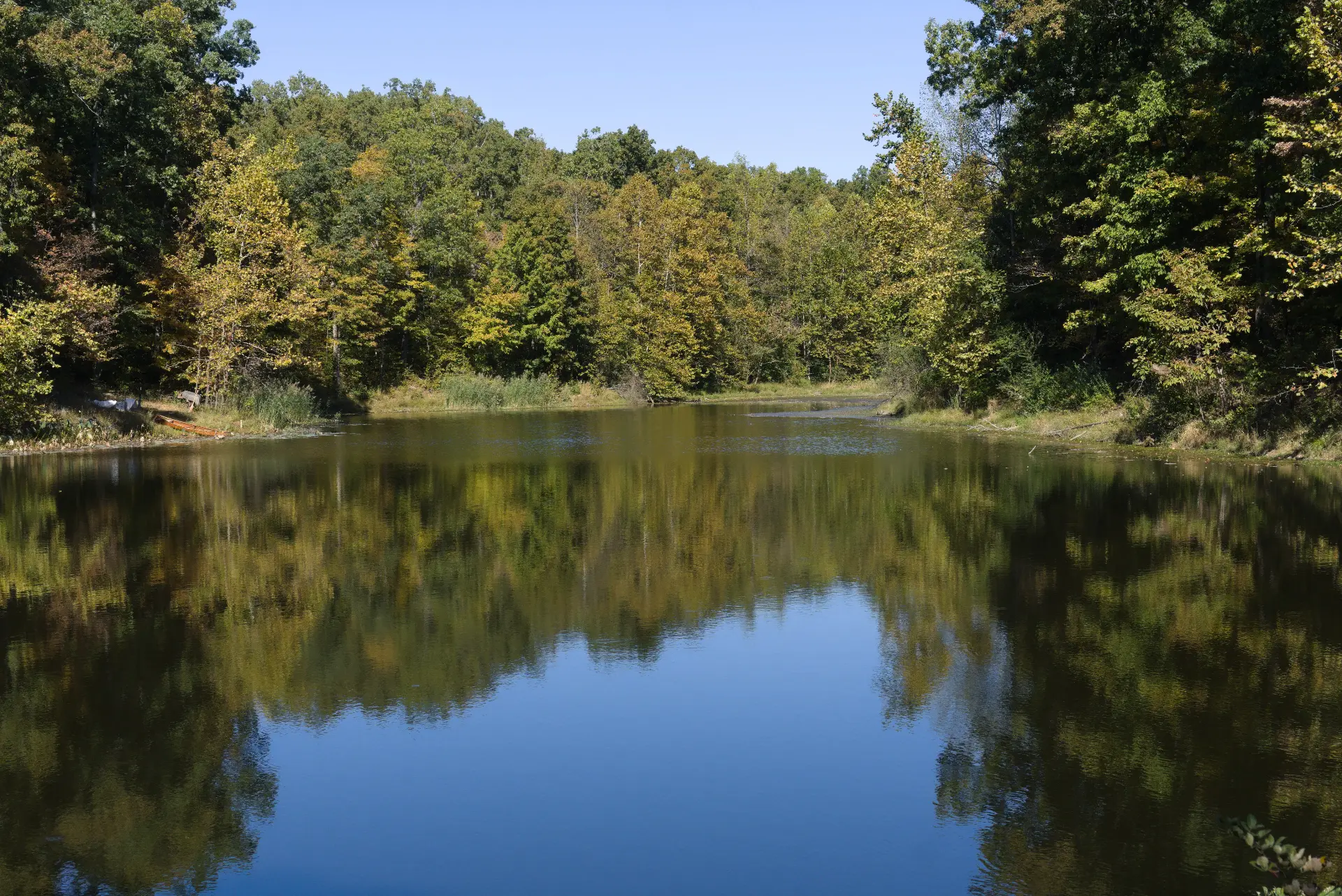 A quiet pond at Midland Hills reflecting the autumn trees
